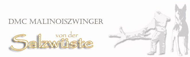 Header_Salzwste