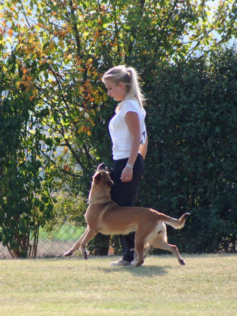 Alva, Landesmeisterschaft 2011